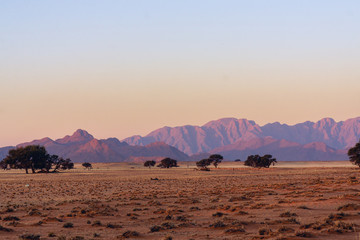 Naklejka na ściany i meble Namibia Mountain Landscape With Animals