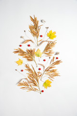 Autumn composition. Yellow maple leaves and seeds, red hawthorn berries on a white background.