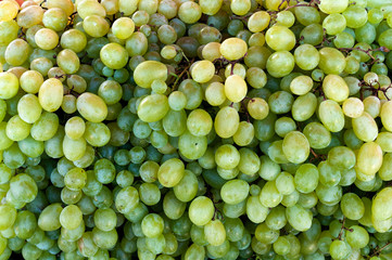 zielone winogrona duża grupa tapeta