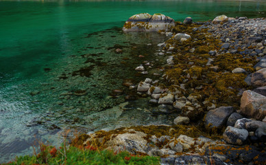 Naklejka na ściany i meble Photo of stone sea with moss in Norway