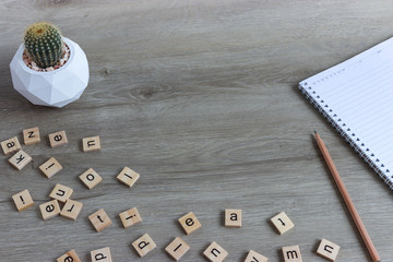 set of various cactus plants in pots. Cactus plant in different pot and view on  table during...