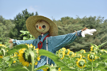 案山子