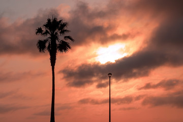Palm tree and street lamp, heavy dramatic clouds and bright sky. Beautiful African sunset over the lagoon.
