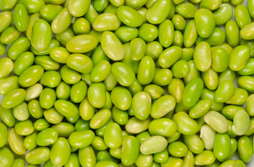 Edamame. Green soybeans. Also called mukimame, unripe soya beans outside the pod. Glycine max, a legume, edible after cooking and a protein source. Closeup, macro food photo.