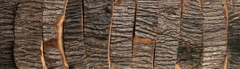Fototapeta premium Freshly Sawn logs.Wooden tree bark cut chopped