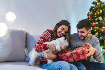 Merry Christmas and Happy New Year. Young beautiful couple are playing with their dog in festive New Year living room just before the Christmas