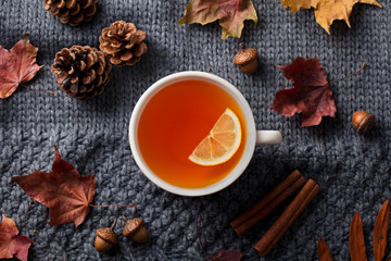Tea cup with autumn leaves. Grey background. Top view.