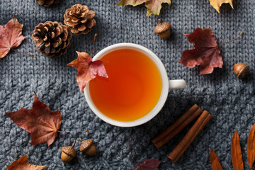 Tea cup with autumn leaves. Grey background. Top view.