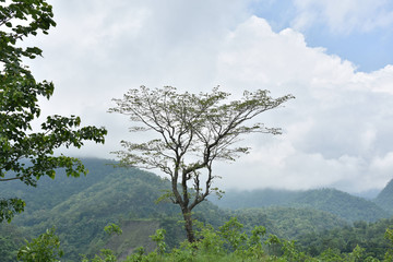 Obraz premium Nature Beautiful