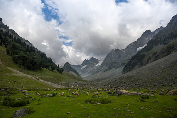 Fototapeta na wymiar mountains of india 