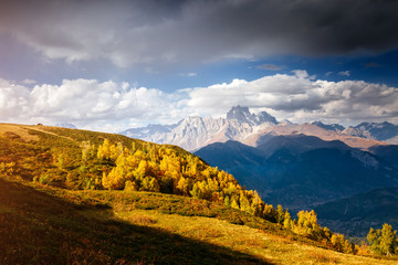 Alpine meadows in the sunny beams. Location Zemo Svaneti, Georgia country, Europe. Main Caucasian ridge.