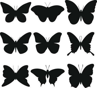 Butterfly Animal Silhouette. Clip Art Design Vector Set. Cut File Illustration Vectorial.