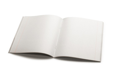 School notebook in a cage isolated