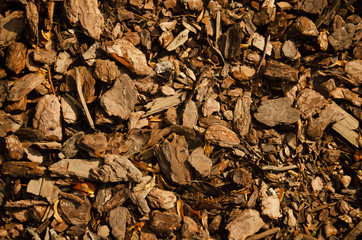 Tree bark pieces natural agriculture decorative filler