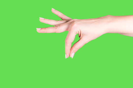 Closeup view of beautiful female hand with natural pastel color manicure isolated on green background. Female hand in gesture as if holding something invisible and virtual with two fingers.  - Powered by Adobe