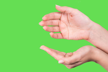 Closeup view of two female hands holding empty cupped hand isolated on green screen background as if holding something virtual and invisible. Horizontal color photography.
