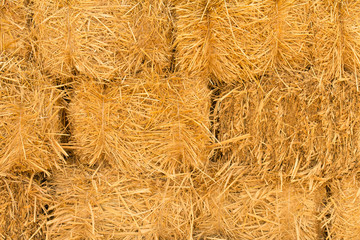 close up straw texture. autumn background