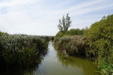 Fototapeta na wymiar Die Aalbeek am Hemmelsdorfer See
