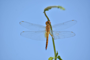 Nature Beautiful