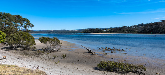 Mid morning by Merimbula Lake