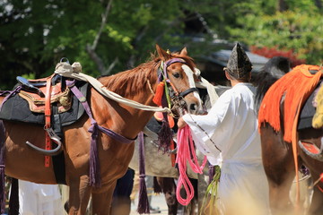 Fototapeta na wymiar 京都の上賀茂神社で行われる賀茂競馬の準備風景です
