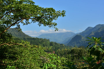 Obraz premium Nature Beautiful