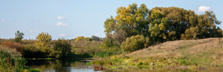 Obraz premium Don river at dawn in the Tula region of Russia. Trees by the river in the rays of the autumn sun. Yellowed grass and tree leaves in an autumn day.
