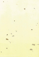 Korean traditional paper with mixed leaves