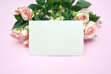 Mockup empty white paper sheet and buds of pink roses, festive background, copy space