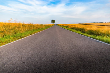 Empty countryside road at sunset. Czech rural landscape.