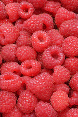 Raspberries background or texture