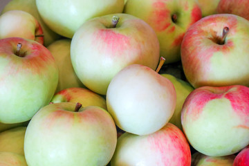 red and white apples fill frame background