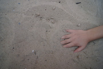Fototapeta na wymiar handt in sand