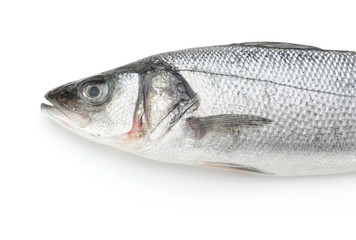 Fresh seabass fish on white background