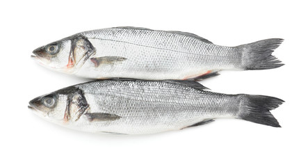 Fresh seabass fish on white background