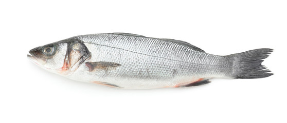 Fresh seabass fish on white background