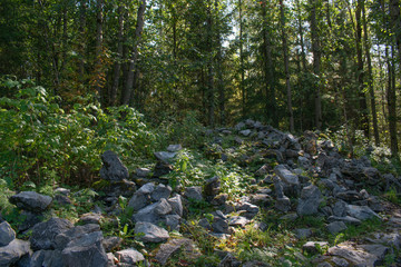 stone figures in the forest