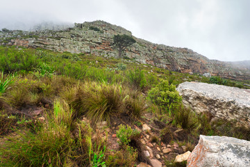 Table Mountain in Cape Town, South Africa