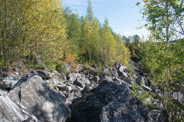rocks of marbel in the forest