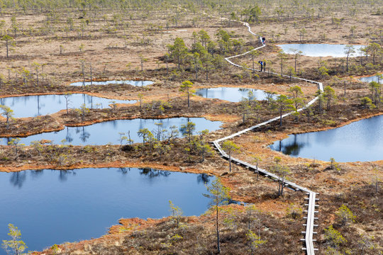 Footpath between lakes in Estonian bog