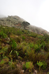 Table Mountain in Cape Town, South Africa