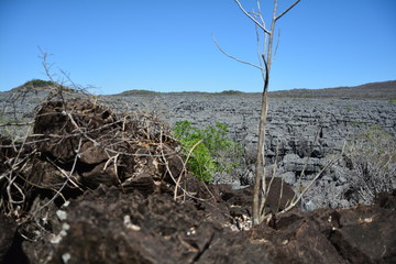 Madagaskar, Parc National Ankarana