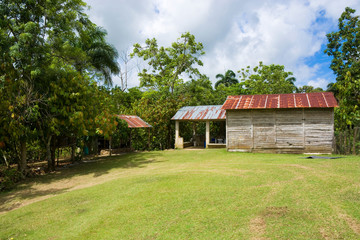 Obraz premium Wooden cottage on tropical plantation, Dominican Republic