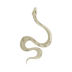 䜀爀攀礀 猀渀愀欀攀 眀椀琀栀 瀀愀琀琀攀爀渀 漀渀 猀欀椀渀 ⴀ 搀愀渀最攀爀漀甀猀 猀攀爀瀀攀渀琀 愀渀椀洀愀氀 搀爀愀眀椀渀最