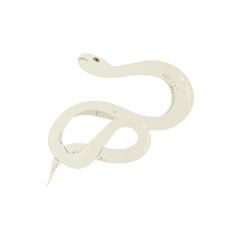 Obraz premium 䰀椀最栀琀 最爀攀礀 漀爀 眀栀椀琀攀 挀愀爀琀漀漀渀 猀渀愀欀攀 搀爀愀眀椀渀最 ⴀ 椀猀漀氀愀琀攀搀 瘀攀挀琀漀爀 椀氀氀甀猀琀爀愀琀椀漀渀