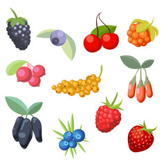 Set of various stylized ripe fresh berries. Berry collection