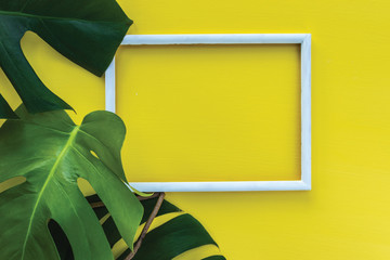 Large leaves of the manstera lie to the left of the white wooden rectangular frame on a bright yellow background, top view
