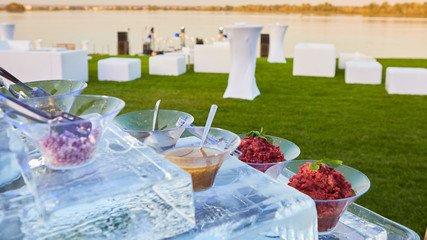 Italian antipasti wine snacks set on ice