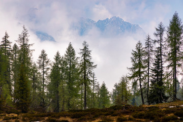 Landscape near Sauris di sotto, Friuli-Venezia Giulia, Italy