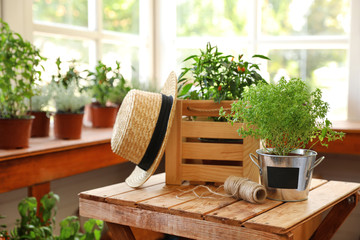 Fototapeta na wymiar Seedlings, wooden crate, straw hat and rope on wooden table indoors. Gardening tools
